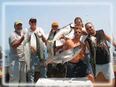 king salmon